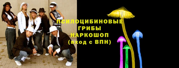 крисы Алексин