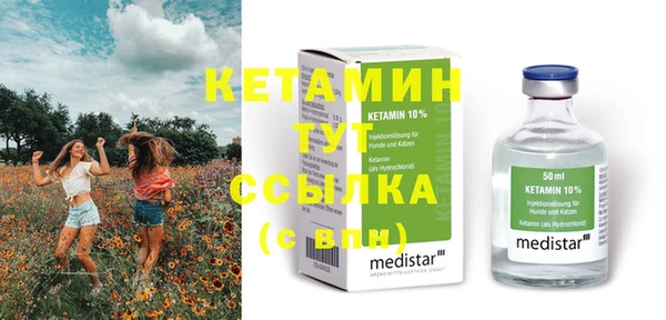 крисы Алексин