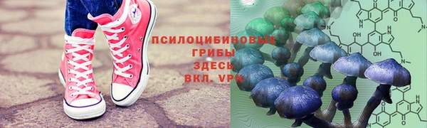 крисы Алексин